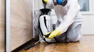 Pest Control for Hotels in Kingsland, TX